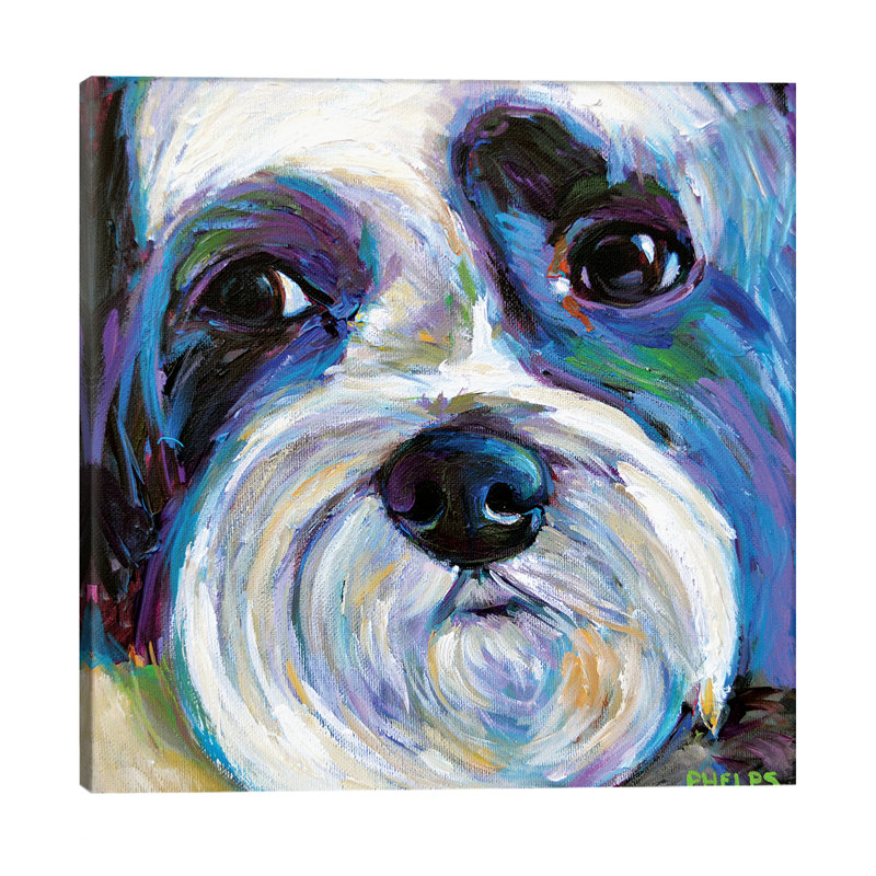 Shih Tzu - Wrapped Canvas Painting, 45.72 cm H x 45.72 cm W x 3.175 cm D