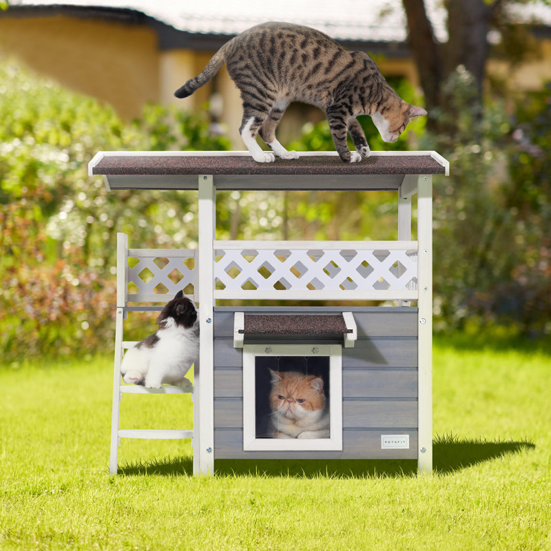 Maison pour chat Egita