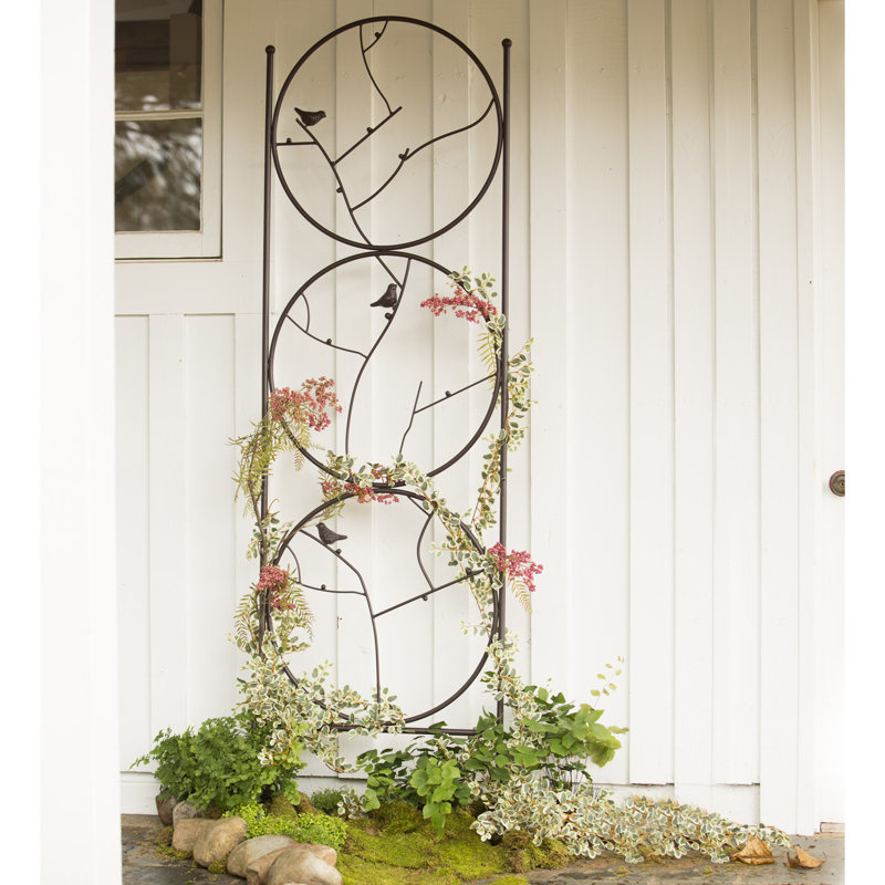 Trio de cercles de jardin