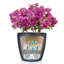 Classico Pot Planter-16493099-16493100