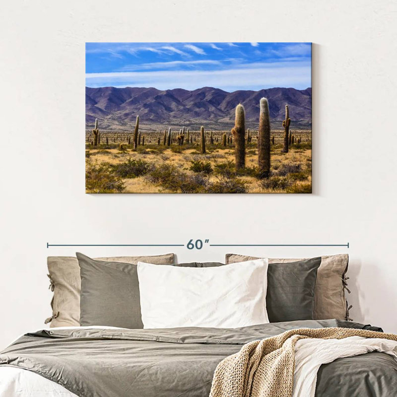 Harnek Los Cardones Cactus