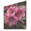 Beauté des rhododendrons mauves - Rhododendron sur bois-1175143568