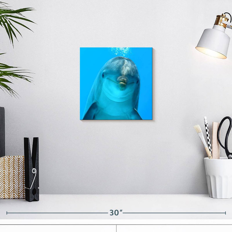 Brampt Dolphin Encounter, 10" H x 10" W