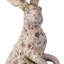 Lapin mousse 19 po