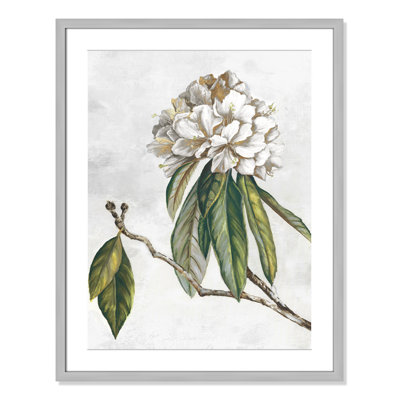 «Pearly Beauty II» par Eva Watts
