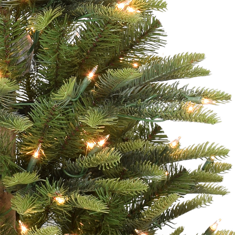 78' Lighted Fir Christmas Tree