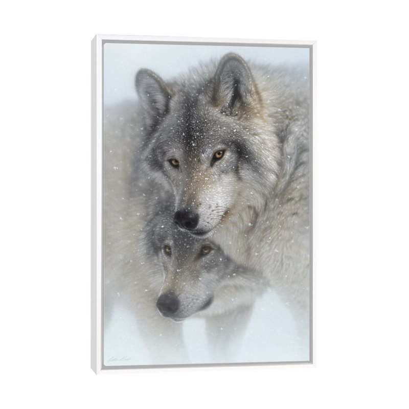 Wild Devotion - Gray Wolves, White Floater Framed Canvas, 26" H x 18" W x 1.5" D