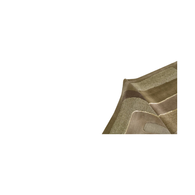 Hand-Knotted High-Quality Beige and Brown Area Rug