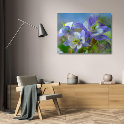 Red Barrel Studio® Fitzharris, Tim Gallery Wrapped Canvas Art Titled: Rocky Mountain Columbine II