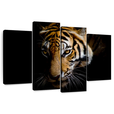 Sumatran Tiger