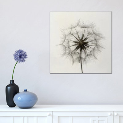 Tragopogon 1 Piece Wrapped Canvas Wall Art
