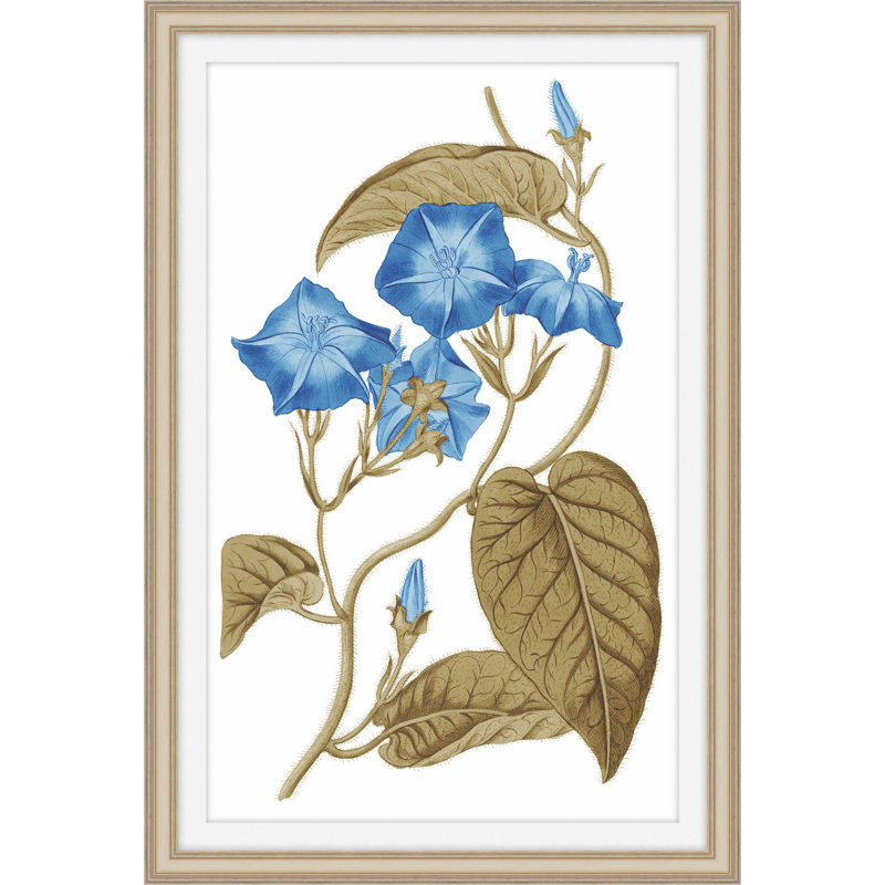 Midsummer Zeal 3 Print by Art House Studios, 18" H x 13" W x 1" D