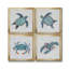 «Bubble Blue Turtle I», ensemble de 4 peintures sur toile encadrées-60148684-60148681