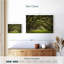 Harnek Oak Tree Lane-107689565
