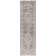 Oriental Indoor Rug