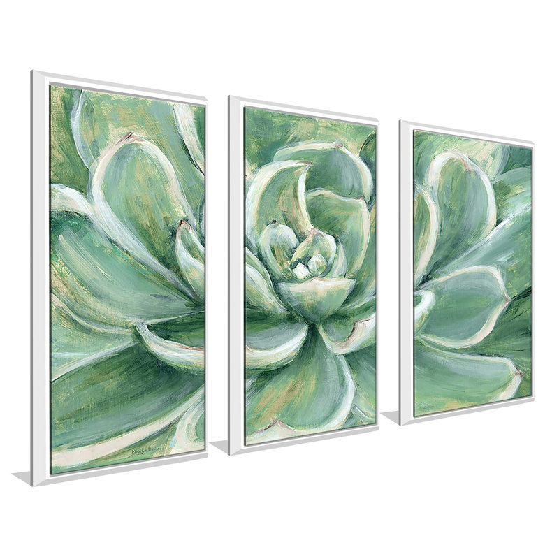 Succulent - 3 pièces, peinture sur toile à cadre flottant, L 52,5 po x H 33,5 po