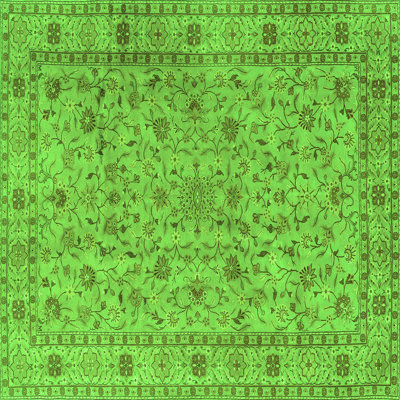 Washable Oriental Indoor Rug