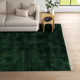 Clio Wool Green Rug