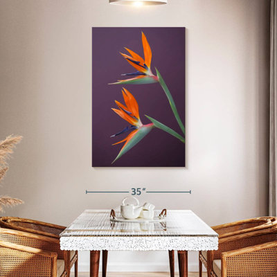 Harnek Perennial Birds Of Paradise