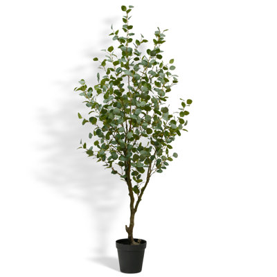 TREE EUCALYPTUS GROWER 7FT