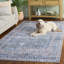 Arizona 322 Performance Machine Washable Oriental Rug-932680027