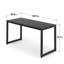 Berenice Stainless Steel Computer Desk-1746530159