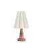 Segal Table Lamp-1093351018