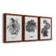 B&W d'intérieur plante I - ensemble de 3 peintures sur toile encadrées-2044643278-2044643283