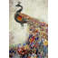 Impression de paon majestueux sur toile-446664444