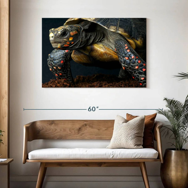 Red Footed Tortoise Species, 30" H x 45" W