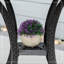 Ensemble de chaises longues inclinables 57,5 "avec coussins et table-98051864