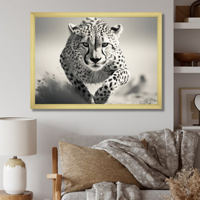 " Africa Cheetahs Speed "