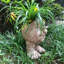 Pot à fleurs Muggly's Grandma-1546233960-1546233962