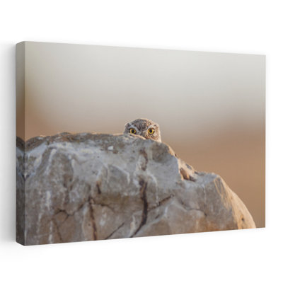 Peeking Owl Eyes Abstract Contemporary Bird Owl Forest Landscape Wall Art Print