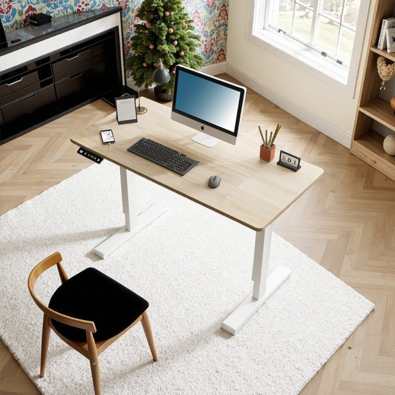Libro 55 Inch Solid Steel Frame Electric Height Adjustable Standing Desk For Home Office And Gaming, Oak/White