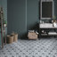 Cassis Hex Flower 8-5/8 In. X 9-7/8 In. Porcelain Vintage Wall & Floor Tile