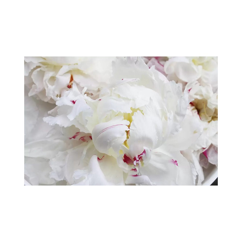Breathless VI by Irena Orlov - 1 Piece Wrapped Canvas Wall Art, 66.04 cm H x 45.72 cm W