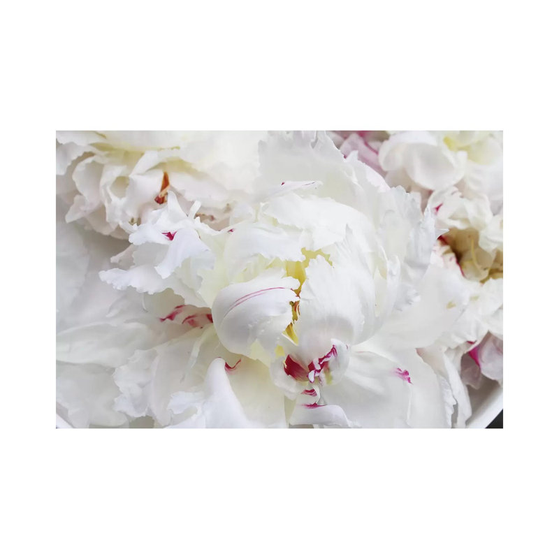 Breathless VI by Irena Orlov - Wrapped Canvas Print, 20.32cm H x 30.48cm W x 1.91cm D
