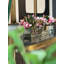 Glass Plate Magnolia Floral Arrangement And Centerpiece In Planter-2022302791-2022302787