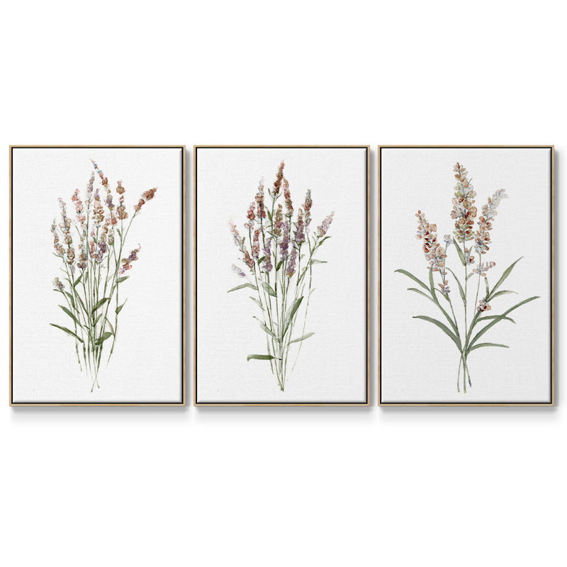 "Dicat Botanical I", reproduction sur toile 3 pièces, Naturel, H 36 po x l 72 po x P 2 po