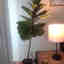 Photos des clients 2 de 2