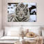 Glacieux tigre blanc Brampt-107707816
