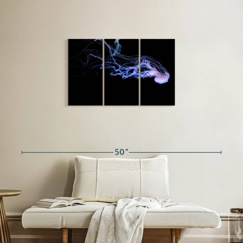 Atlantic Sea Nettle, 20" H x 33" W