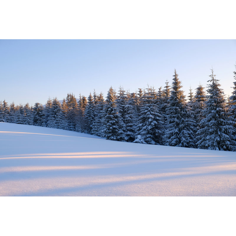 Winter Landscape - Wrapped Canvas Print, 30cm H x 46cm W x 3.8cm D