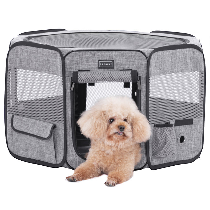 Caisse pour animaux amovible, Noir / gris, Petit (H 16,5 po x l 26,5 po x P 26,5 po)
