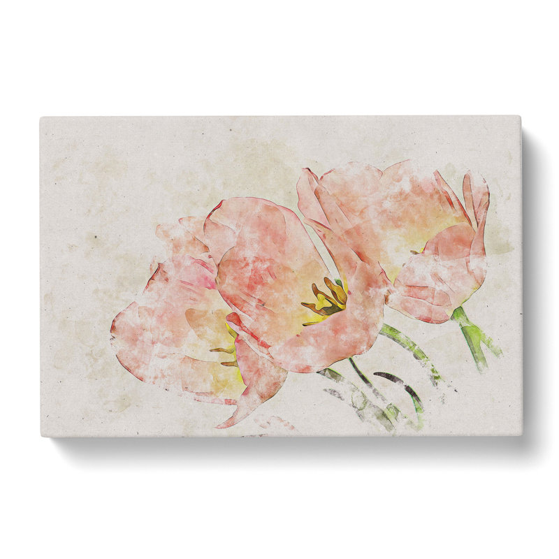 Pink Tulip - Wrapped Canvas Print, 40cm H x 60cm W x 3cm D