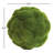 Preserved Mood Moss Orb 5.5 in.