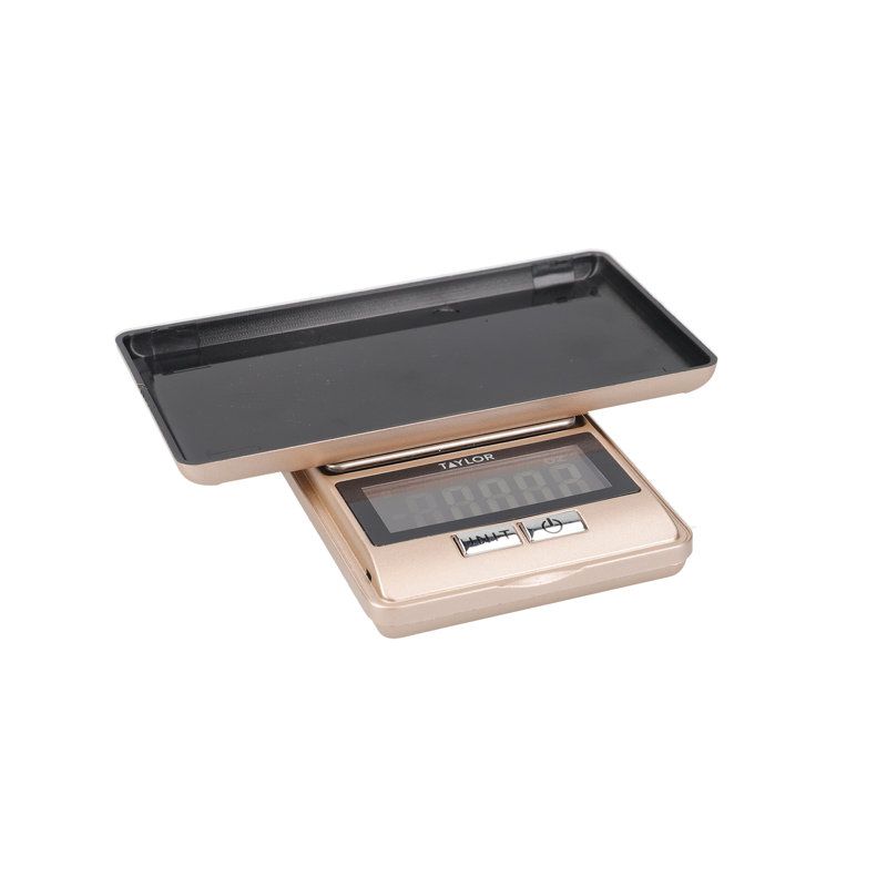Taylor Pro Digital Scale