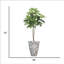 72'' Faux Sycamore Tree in Pot