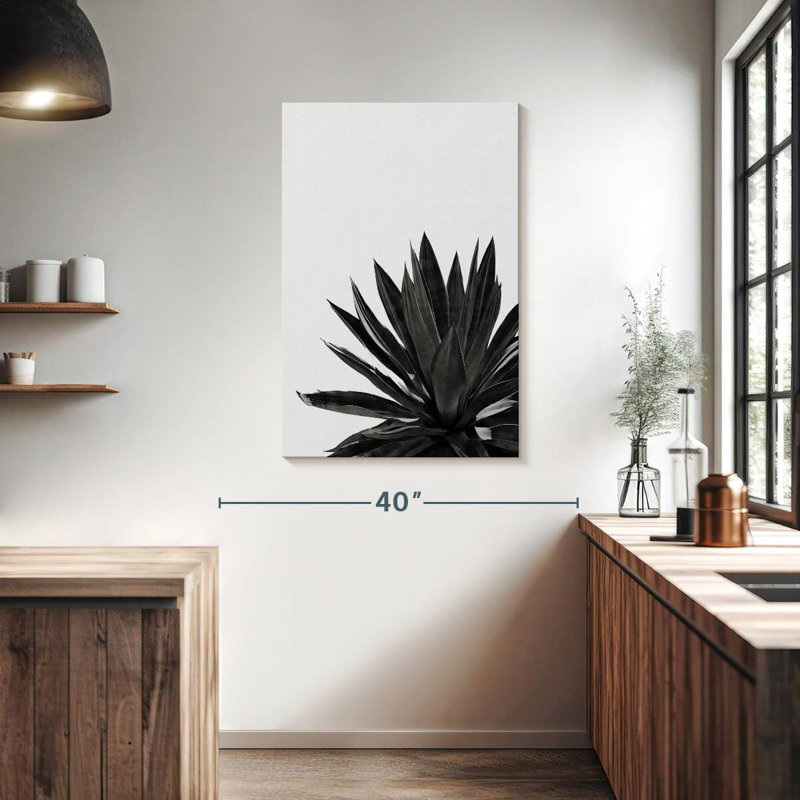 Harnek Agave Cactus BW, 39" H x 26" W
